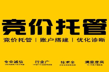 信息流竞价优化技巧：实战案例分析